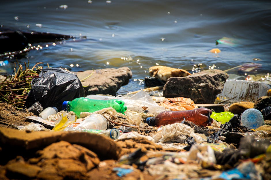A person wearing a light blue t-shirt, black shorts, and white sneakers is standing on a rocky shoreline near a body of water. They are holding a trash picker in one hand and wearing gloves, while the